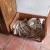 Image000000 12