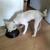 Image000000 26