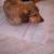 Image000000 30