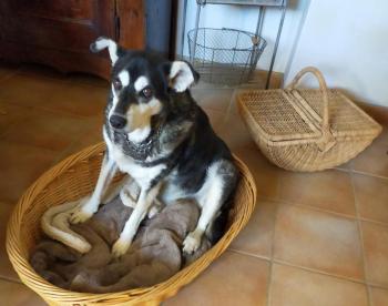 Image000000 9