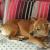 Image0000001 35