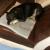 Image0000001 44