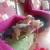 Image0000001