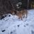 Image000001 16