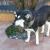 Image000001 2