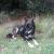 Image0000011 8