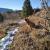 Image000002 10
