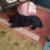 Image000002 8