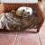 Image000003 1
