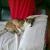 Liesel 1